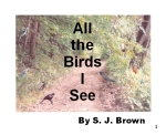 All the Birds I See Cover