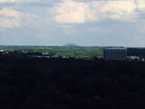 Stone Mountain in the distance