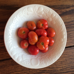I bought these at the Farmer's Market. Aren't they cute? I've never seen knobby tomatoes this small before.